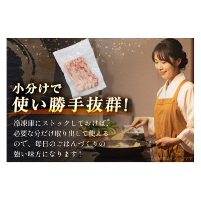 豚肉 バラエティ セット 計1.5kg ロース とんかつ用 豚こま 肩ロース スライス 切り落とし