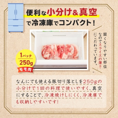 鹿児島県産 豚切り落とし 250g×8パック 計2kg　K151-003