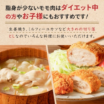 鹿児島県産 豚切り落とし 250g×8パック 計2kg　K151-003