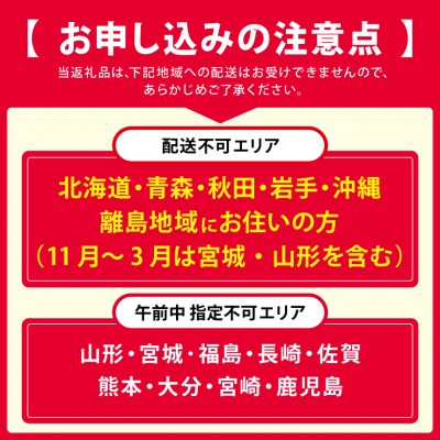 柿の葉ずし(24個入り)鯖・鮭各12個