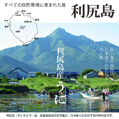 【2025年発送受付】★直送 塩水生うに(ムラサキウニ)&いくらセット7月発送【利尻漁組】