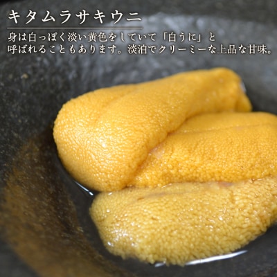 【2025年発送】産地直送!スペシャル!食べ比べ生うにセット【福士水産】
