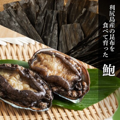 利尻島産・あわび醤油煮 4缶《利尻漁業協同組合》