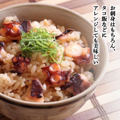 お刺身タコ　8個入　<利尻漁業協同組合>