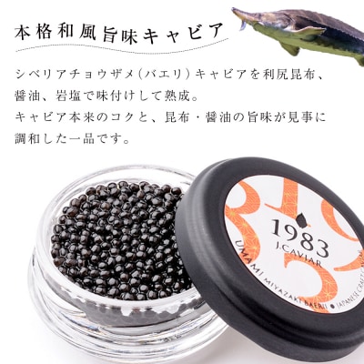 【和風キャビア】1983 JCAVIAR BAERII UMAMI 10個(20g×10)