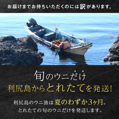 【2026年9月発送】キタムラサキウニ 100g (100g×1パック) <利尻漁業協同組合>
