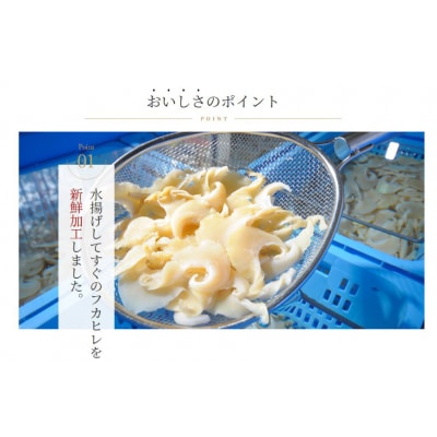 ふかひれ姿煮・スープセット＜石渡商店＞【宮城県気仙沼市】 20563407