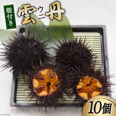 【期間限定発送】 三陸産 ウニ 殻付き 10個 [20564808]