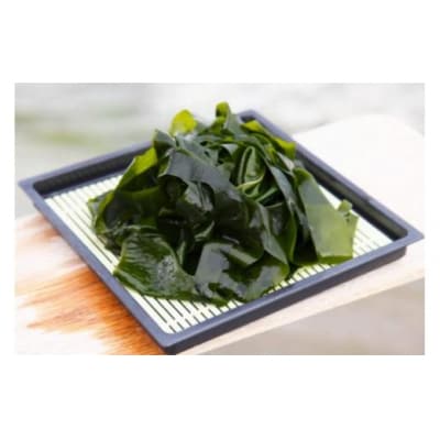 三陸産 海藻 5種セット ( わかめ 茎わかめ ひじき ふのり 昆布 ) [20564805]