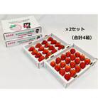 【2026年2月発送】福島県大熊町産いちご　おおくまベリー(品種:紅ほっぺ　約320g×4箱)