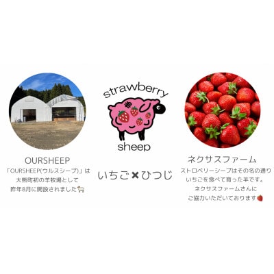 【8月下旬より発送】国産羊肉 ストロベリーシープ 280g