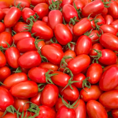 フルーツ級の甘さ!激あまミニトマト(アイコ)1kg