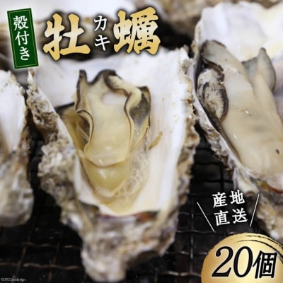 ＜先行受付＞ 三陸産 牡蠣 殻付き 20個 さんりくみらい  20564203