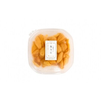【期間限定発送】三陸産塩水うに 100g×3パック 村東商店  20564260