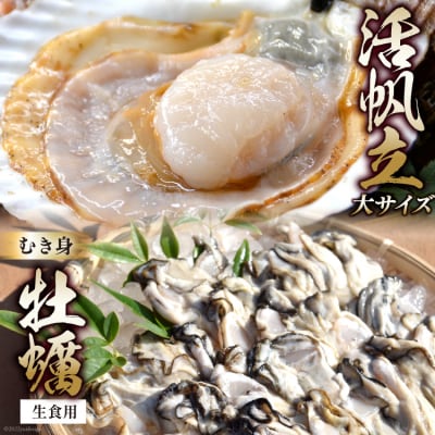 活帆立8枚 牡蠣むき身 500g セット [かみたいら 宮城県 気仙沼市 20564233]