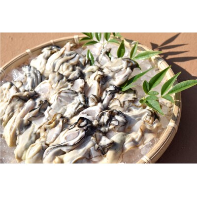 活帆立8枚 牡蠣むき身 500g セット [かみたいら 宮城県 気仙沼市 20564233]