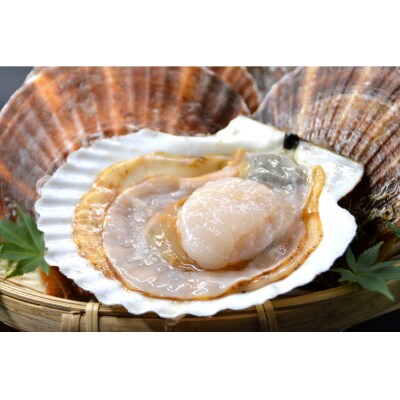 活帆立8枚 牡蠣むき身 500g セット [かみたいら 宮城県 気仙沼市 20564233]