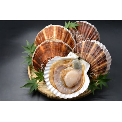 活帆立8枚 牡蠣むき身 500g セット [かみたいら 宮城県 気仙沼市 20564233]