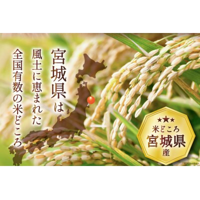 米 宮城県産 だて正夢 10kg (5kg×2袋) 20564672 | 宮城県気仙沼