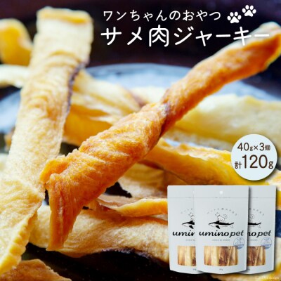UMINO PET サメ肉ジャーキー 40g×3個 / 石渡商店 20563953