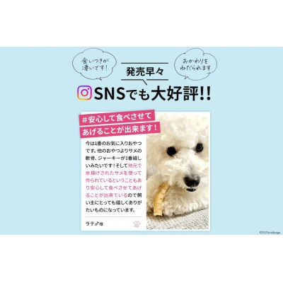 UMINO PET サメ肉と軟骨のパウダー 計120g(40g×3) 20563977