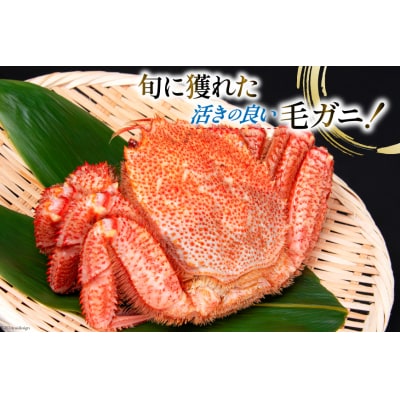 【期間限定発送】かに 三陸産浜ゆで毛ガニ 約500g×3 計1.5kg [20564163]