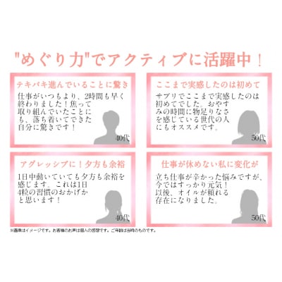 【6ヶ月定期便】気仙沼 クリルオイル 1袋(120粒)×6回 計6袋 20564490