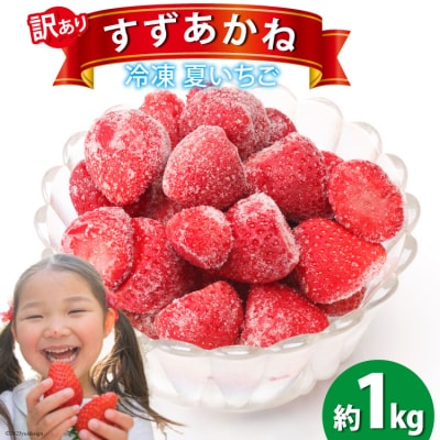 訳あり 冷凍 夏いちご すずあかね 約1kg 水山養殖場  20564004