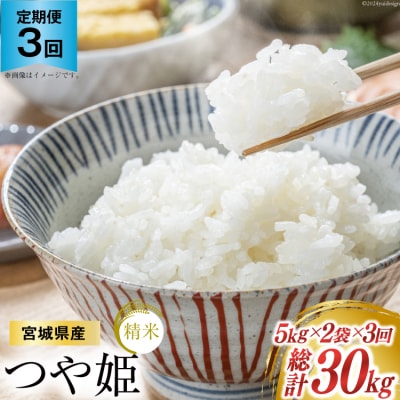 3回 定期 米 宮城県産 つや姫 10kg(5kg×2) 計30kg 20564924