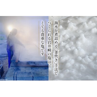 気仙沼 岩井崎の塩 スープ 40g×2袋(約16杯分) [ムラカミ 20564108]