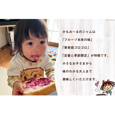 ジャム 気仙沼階上産 いちごジャム 大島産 ブルーベリージャム 各200g [20563295]