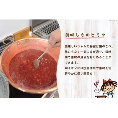ジャム 気仙沼階上産 いちごジャム 大島産 ブルーベリージャム 各200g [20563295]