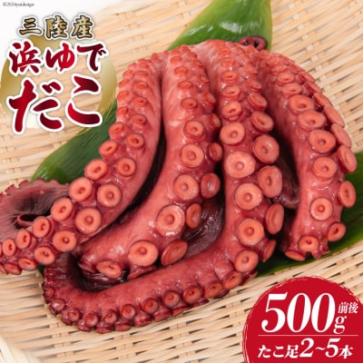 タコ 三陸産 浜ゆでだこ 約500g [村東商店 宮城県 気仙沼市 20564846]