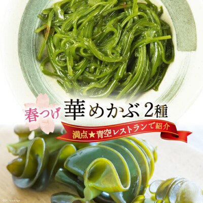 春つげ華めかぶ セット [20565075] 
