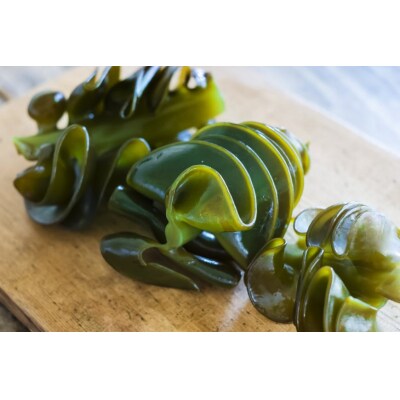 春つげ華めかぶ 3種 メカジキ セット [20565076] 