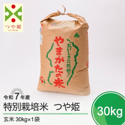 新米 米 つや姫 30kg 令和7年産 【2025年12月下旬発送】山形県産 特別栽培米 玄米