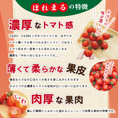 明和町産 完熟 トマト ほれまる とパウンドケーキ の セット