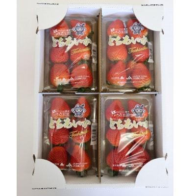 【いちご王国の逸品】栃木県産「とちあいか」260g×4p