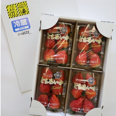 【いちご王国の逸品】栃木県産「とちあいか」260g×4p