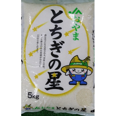令和7年産　栃木県産　とちぎの星　精米5kg×2袋