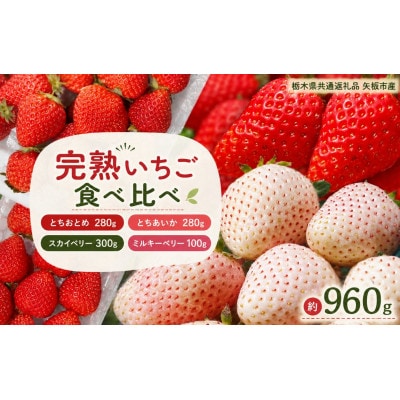 いちご4品種 食べ比べセット 960g (とちあいか・とちおとめ・ミルキーベリー・ スカイベリー)