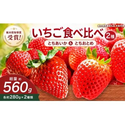 澳原さんの いちご2種類食べ比べ 560g(とちあいか280g・とちおとめ280g)