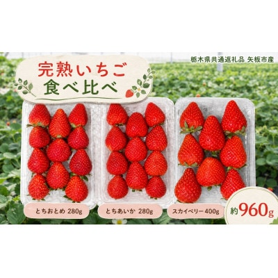 いちご3品種 食べ比べセット 960g(とちあいか・スカイベリー・とちおとめ)