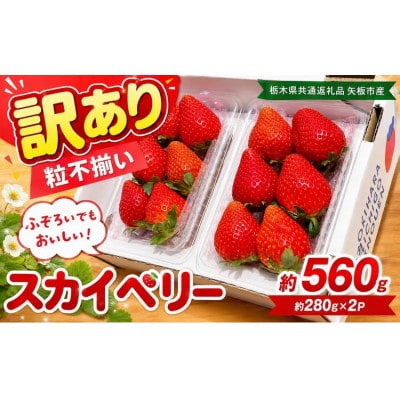 訳あり 粒不揃い スカイベリー 560g (280g×2P)