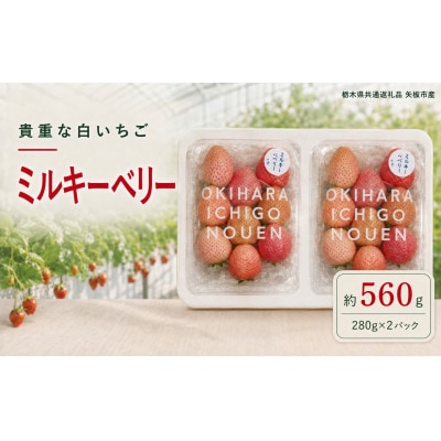 澳原さんの「ミルキーベリー」 560g (280g×2P)