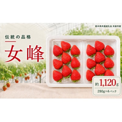 澳原さんの「女峰」 1,120g (280g×4P)