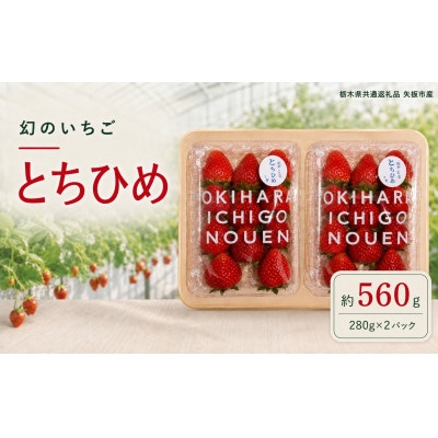 澳原さんの「とちひめ」 560g (280g×2P)