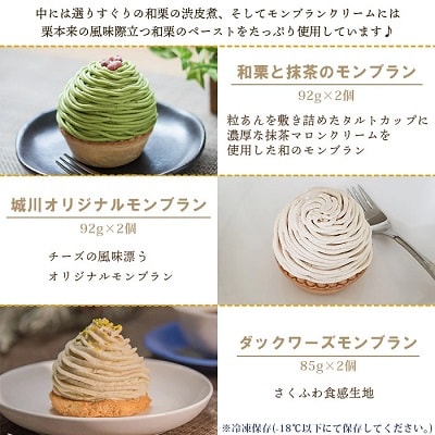 <城川オリジナルモンブラン3種セット(計6個入)>　スイーツ　お菓子　マロン　和栗　国産　西予市
