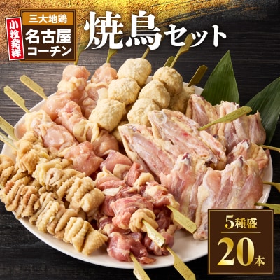 名古屋コーチン焼き鳥セット(モモ・ムネ・手羽中・皮・つくね)(20本入り)[001T02]