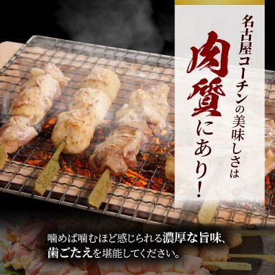 名古屋コーチン焼き鳥セット(モモ・ムネ・手羽中・皮・つくね)(20本入り)[001T02]
